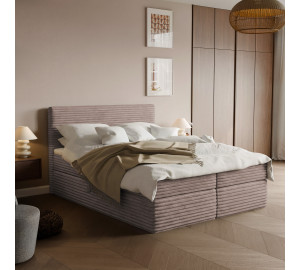 Tilia 17